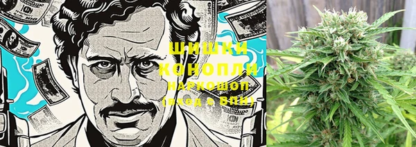 ПСИЛОЦИБИНОВЫЕ ГРИБЫ Белокуриха