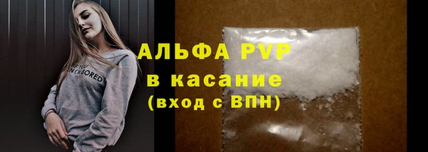 мяу мяу мука Беломорск