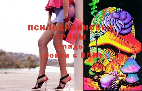 ПСИЛОЦИБИНОВЫЕ ГРИБЫ Белокуриха