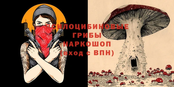 первитин Белоозёрский
