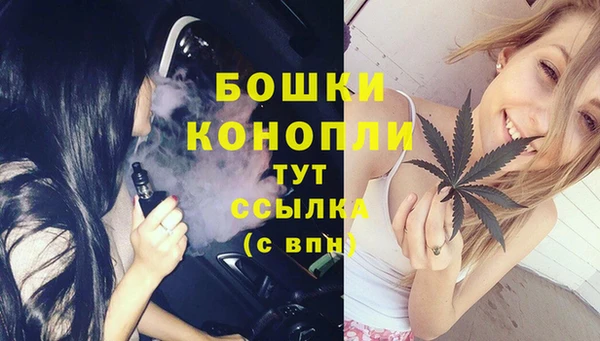 мяу мяу мука Беломорск