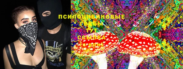 первитин Белоозёрский